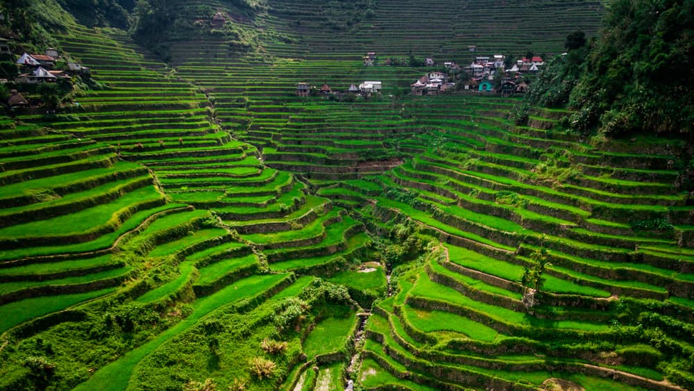 Province d'Ifugao